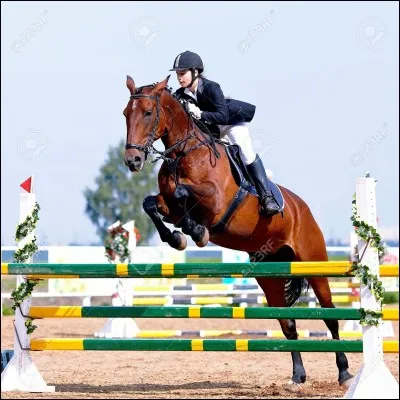 La position de ce cavalier est-elle correcte ou pas ?