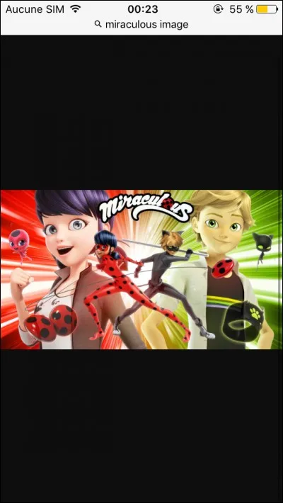 Ladybug aura des vues sur Chat Noir et Adrien en aura sur Marinette dans la saison 2.