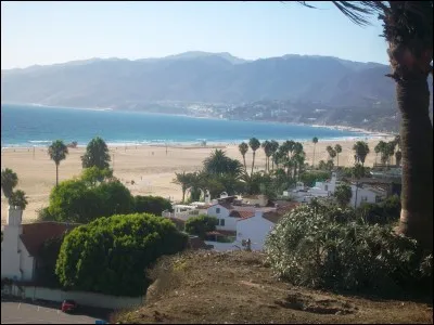 Voici Venice Beach, la plage la plus "branchée" d'une grande ville côtière des États-Unis. Quelle est cette ville ?
