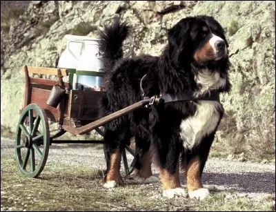 Quel est son ancien métier à la ferme ?