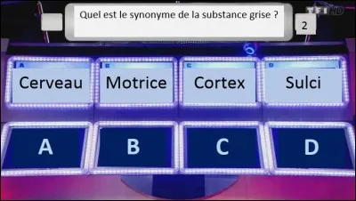 Sur quelle case allez-vous tout parier ?