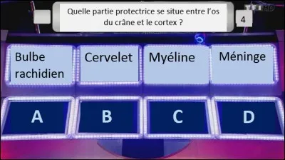 Quelle lettre vous sauvera la mise ?