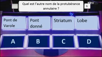 Quelle lettre vous permettra de payer vos impôts en toute sérénité ?