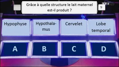 Rendez à présent hommage à celles qui nous donnèrent la vie.