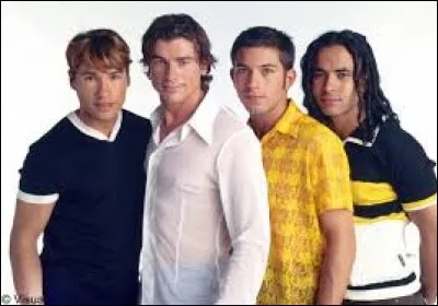 Comment se nomme ce boys band connu en France pour leur reprise de la chanson "Je te donne" de Jean-Jacques Goldman ?