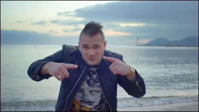 Qui a chanté "On m'appelle l'ovni" ?