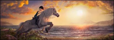 Quelle est l'abréviation de Star Stable Online ?