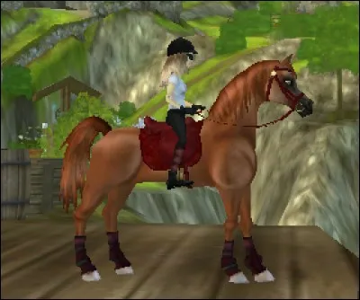 Quelle est cette race ? (cheval sur la photo)