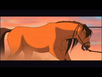 Y a-t-il Spirit dans Star Stable ?