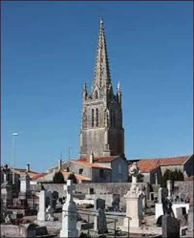 Nous partons en Nouvelle-Aquitaine, à Moëze. Commune de l'arrondissement de Rochefort, dans l'ancienne province de Saintonge, elle se situe dans le département ...