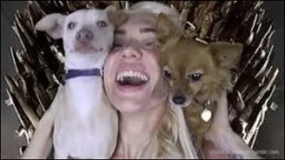 Comment la vidéo de Natoo avec ses deux chiens s'appelle-t-elle ?