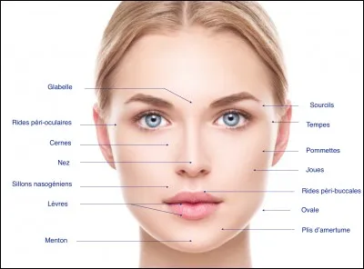 L'acide hyaluronique...