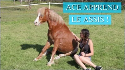 Qu'est-ce qu'une bonne assiette ?