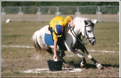 Quel est le nom des jeux à poney ?