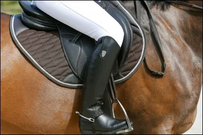 Qu'est-ce qu'une chambrière ?