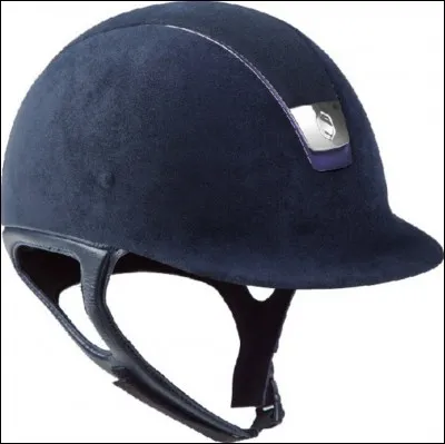 Quel est le nom du casque du cavalier ?