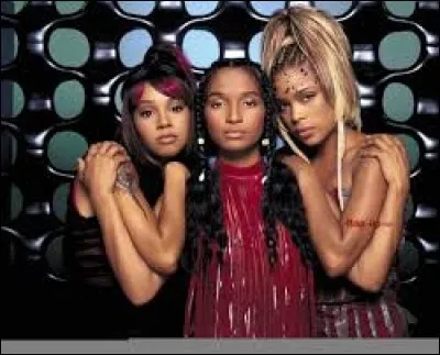 Comment se nomme ce girl band américain formé en 1991 ?