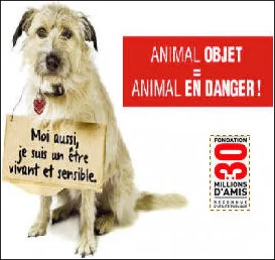 Je suis la mascotte d'une célèbre émission télévisée animalière :