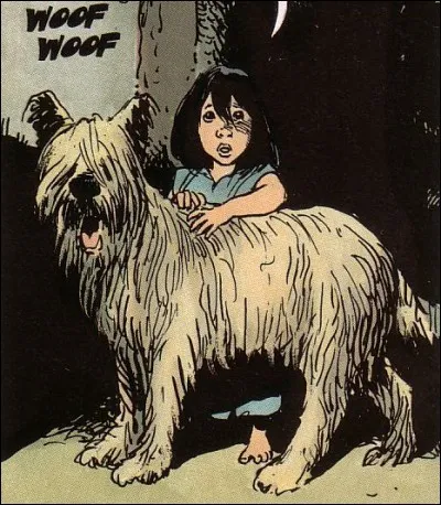 Je suis le compagnon du fil d'une princesse viking :