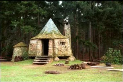 A quel enterrement Harry assiste t'il prs de la cabane de Hagrid ?