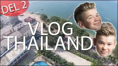 Dans quel pays vont-ils chaque année ?