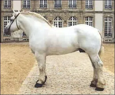 Quelle est sa robe ?