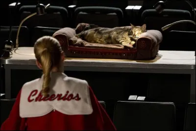 Que ne reproche-t-elle pas à son chat durant toute la série ?