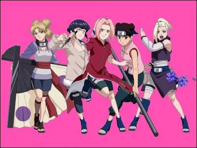 Qui sont ces ninjas ?