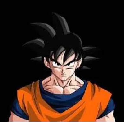 Qui est le père de Son Goku ?