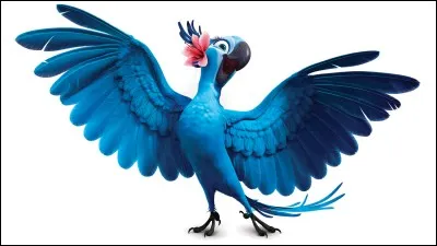 A quelle race appartient "Blu", le perroquet bleu du dessin animé "Rio"?