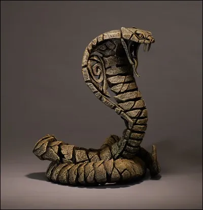 Quel est ce reptile ?