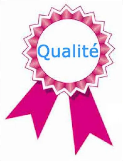 Quelles sont les qualités que tu préfères chez une fille ou un garçon ?