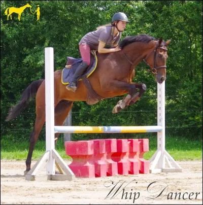 À cheval, tu veux...