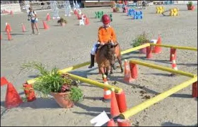 Quelle est cette discipline ?