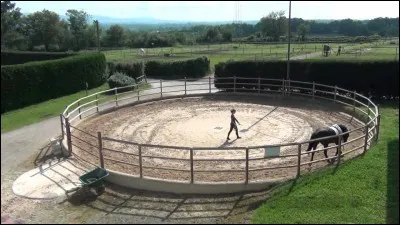 Quelle est cette discipline ?