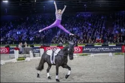 Quelle est cette discipline ?