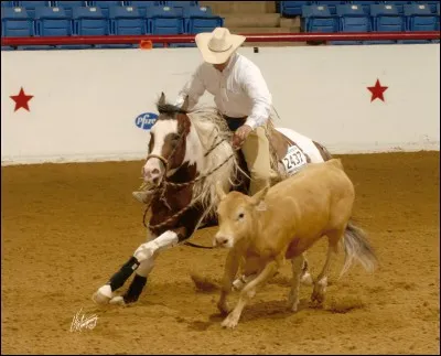 Quelle est cette discipline ?