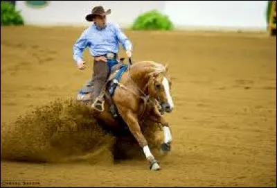 Quelle est cette discipline ?