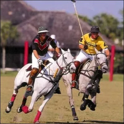 Quelle est cette discipline ?