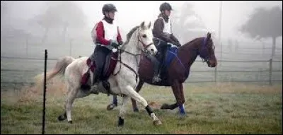 Quelle est cette discipline ?