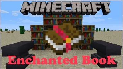 À quoi sert l'enchantement "mending" (raccommodage) ?