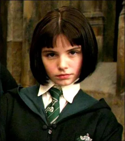 Hey moi c'est Pansy Parkinson, élève à Poudlard dans la maison .....
