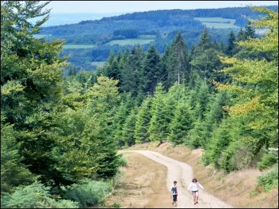 Quelle est l'altitude du point culminant du Morvan ?