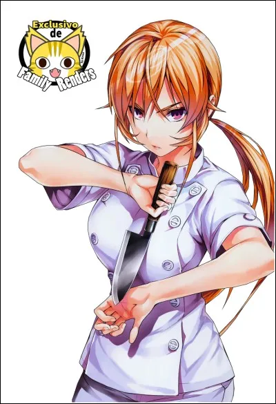 Erina vient de quel manga ?