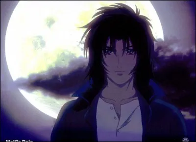 Kiba vient de quel manga ?