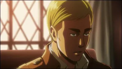 Erwin vient de quel manga ?