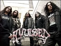 De quelle nationalit est le groupe Avulsed ?