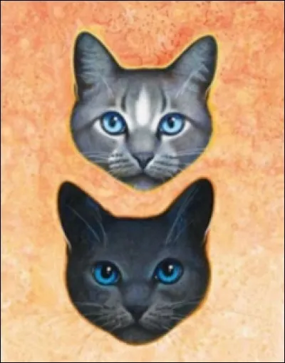 Quel chef est Étoile de Givre ?