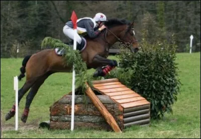 Dans le cross il n'y a pas :