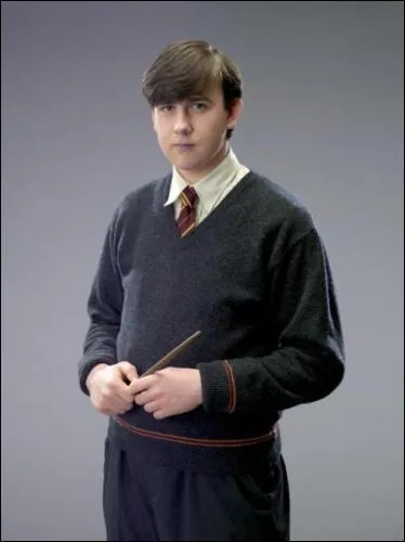 O sont ils durant la saga ?